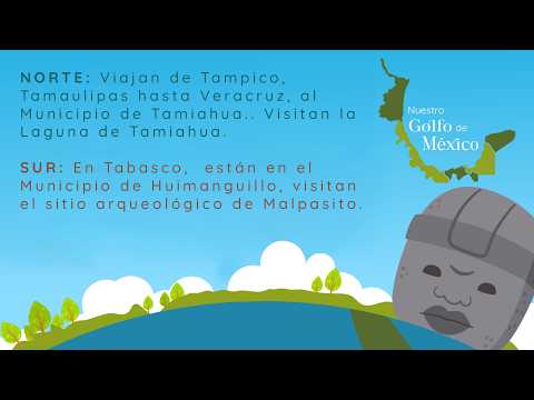 Nuestro Golfo de México Capítulo 9