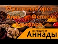 О специях от Аннады. Мускатный орех, шафран, анис, фенхель, панч масала, камфора. Аннада