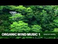 Organic Mind Music 1 by Amarel (Ambient)