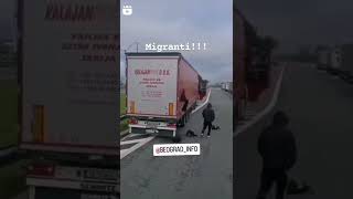 Migranti