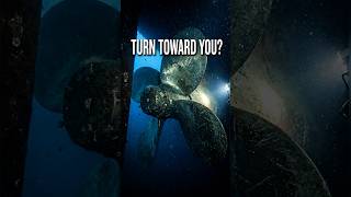 The 2AM Turn That Saves You From a Ship’s Propeller 🌊⚙️