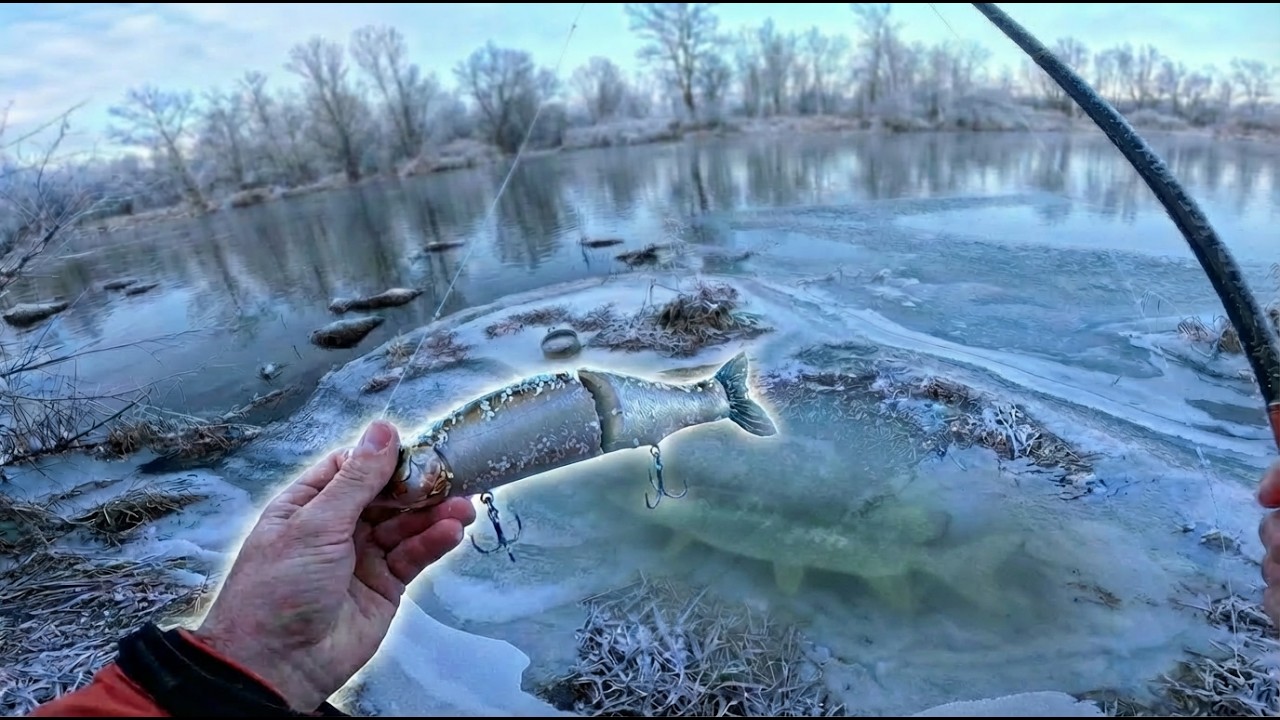 Rivière GELÉE = brochets ABSENTS ? (-7°C)❄️