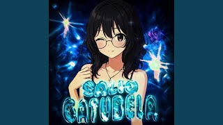 Salio Gatubela