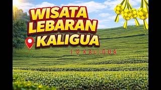 TEA GARDEN PARADISE! Visiting Kaligua Brebes During the Eid Holidays