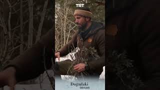 Kar Üstünde Yabani Kavak Ağacının Dalıyla Kamp Ateşi Yakma Ğadakiinsan Ilıç