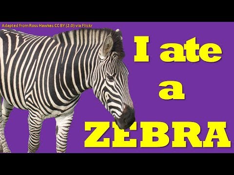 What Does Zebra Meat Taste Like
