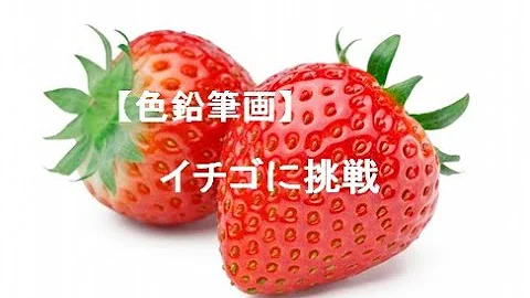 リアル 色鉛筆 イラスト