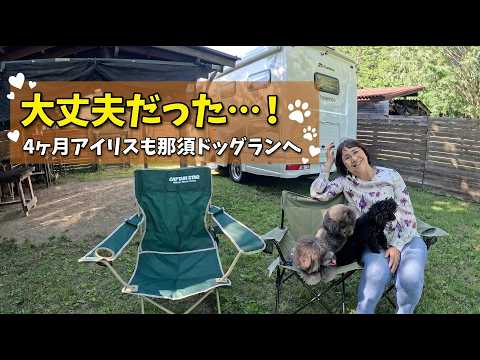 Enjoying the Nasu Dog Run in Tochigi, Japan! Relaxing in a Hammock During a Campervan Trip