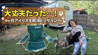 【心配したけど大丈夫🐾】生後4ヶ月アイリスも那須ドッグランを満喫！ハンモックでまったりキャンピングカー旅
