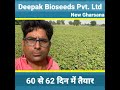     8888         deepakbioseeds