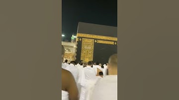 بندر بليلة تلاوة خاشعة