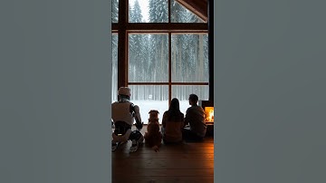 A FUTURE FAMILY WILL BE LIKE THIS. #robot