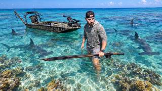 We FOUND a Spot LOADED With Giant Fish.. But Even Bigger SHARKS!! (close encounter) *90ft Deep*