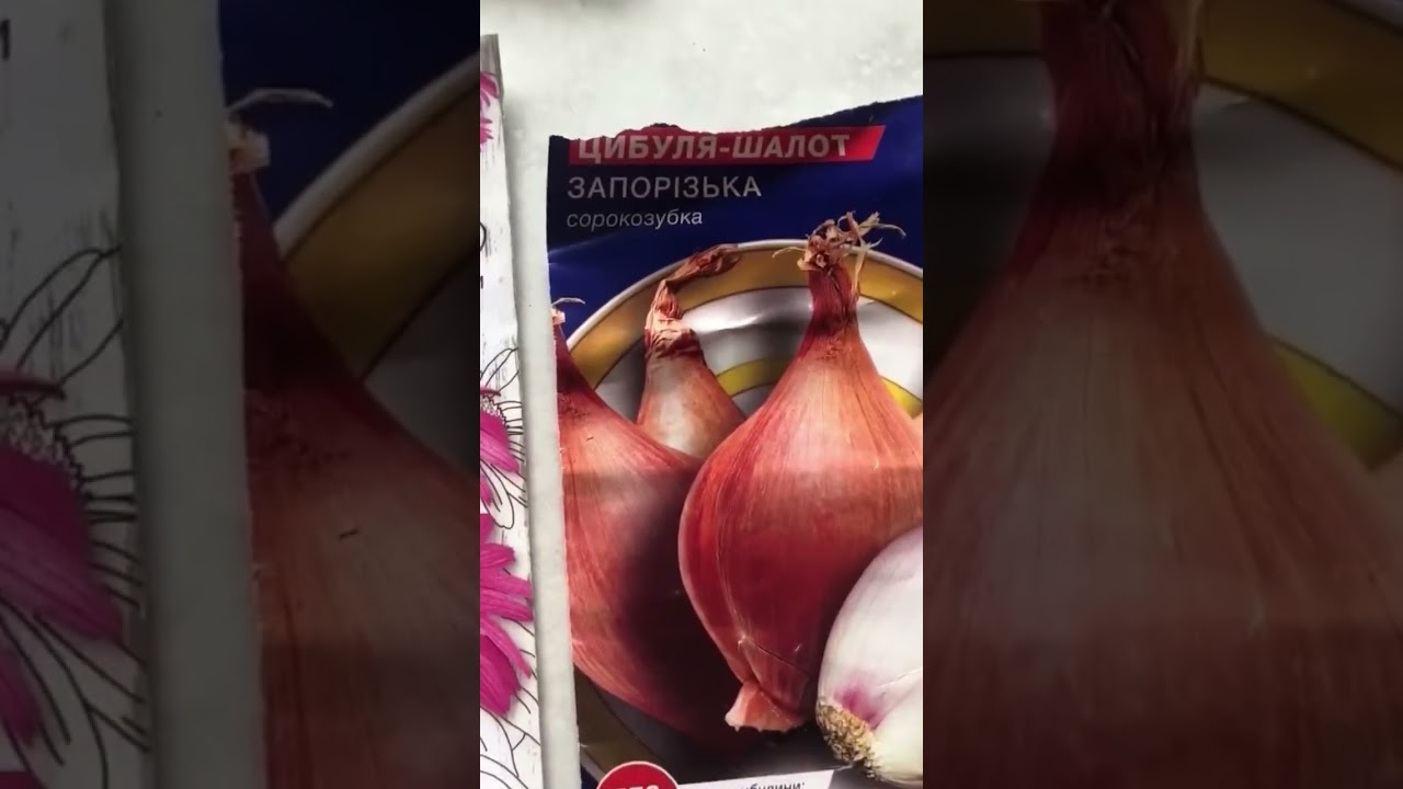 Подзимний посев. Что посеять под зиму.