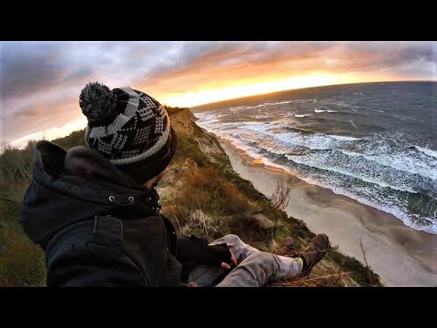 Vídeo: El Bosc Com A Entorn Natural