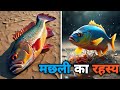 मछली को जल से बाहर निकालने पर वह क्यों मर जाती है?