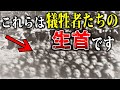 【ゆっくり解説】運動会に首狩り族乱入。日本人親子134人が狩られた「霧社事件」