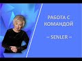 Работа с командой SENLER