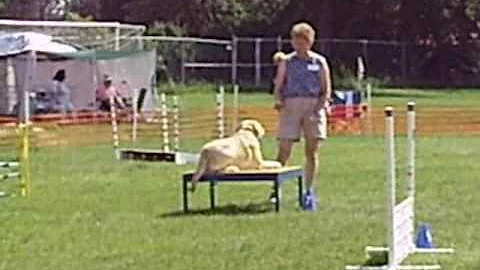 DonnaG and Dugan Poodle09