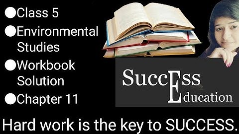 Class 5 | Environmental Studies | NCERT | Workbook Solution | Chapter 11 | Sunita In Space