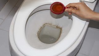 The secret to a spotless toilet: Say goodbye to a dirty toilet bowl forever