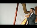 Canone in re di j pachelbel  fabio rizza harpist