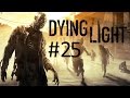 Dying Light | Прохождение | #25 Прямо к Раису [1080p 60fps]