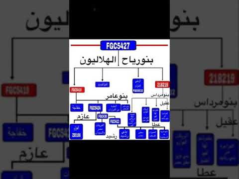 نسب قبيلة بنورشيد يعود الي بني رياح من هلال مشجرة ابن خلدون ورجوع بنورشيد من التغريبه الهلاليه