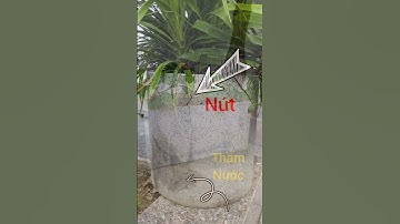 Tại sao chậu xi măng nhẹ composite, chậu đá mài lại có những mức giá khác nhau ?