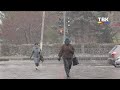 Мокрый снег и заморозки: синоптики предупреждают о резком изменении погоды
