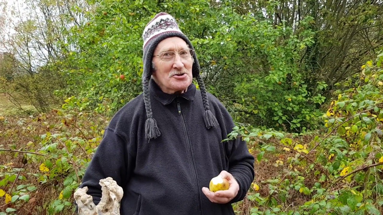 Richard White & Guy Carleton: Bank Garden Apples