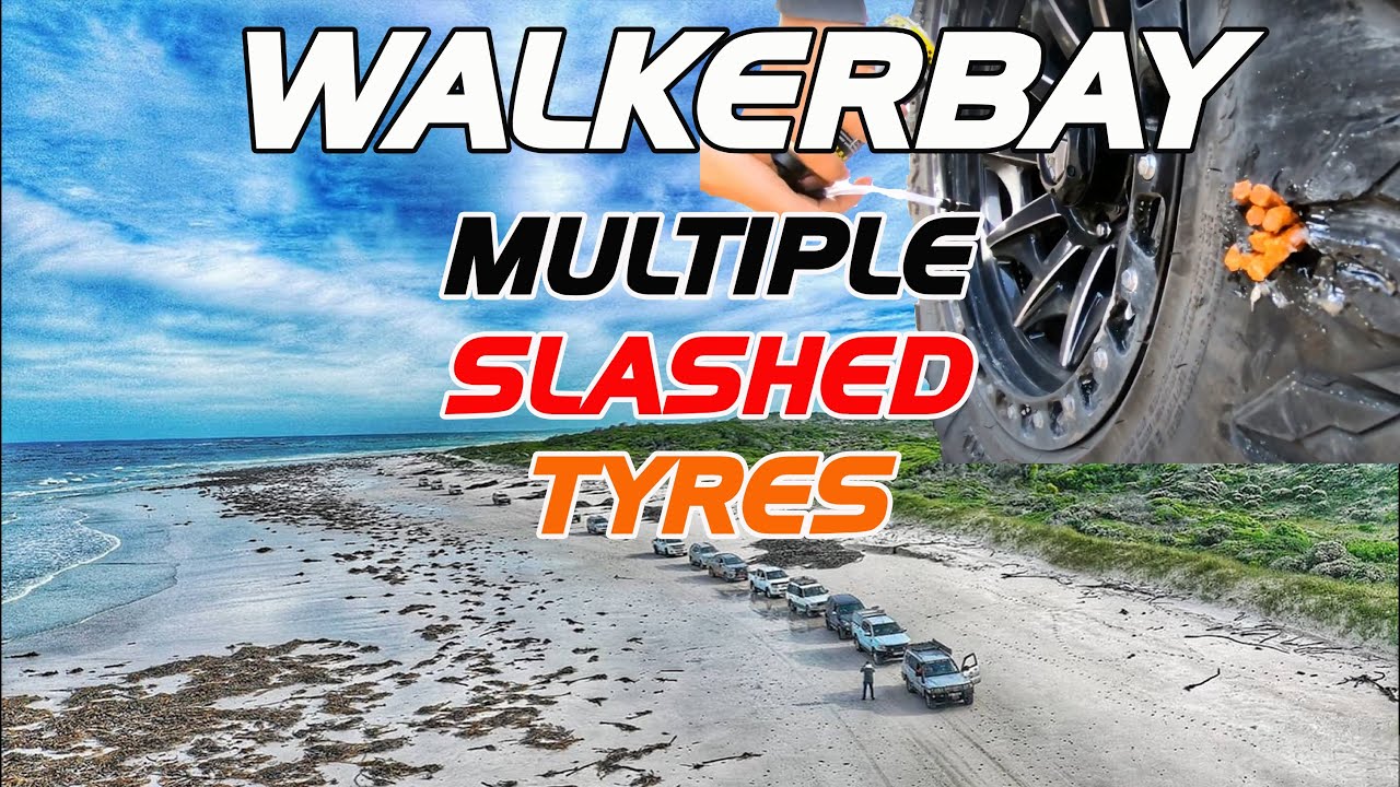 Поездка в Уокер-Бей и Плаатиескраал — вождение на внедорожнике по пляжу. Какие впечатления!