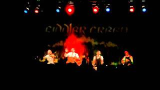 Fiddler's Green - Bottom of our glass (03.11.2011 Freiheiz Munich).AVI