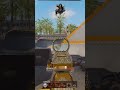 Da S Pech 5 Man Weg Callofduty Twitchclips Goodvibes Gameplay Da S Pech 5 Man Weg Callofduty Twitchclips Goodvibes Gameplay