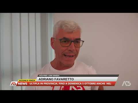 A3 NEWS VENEZIA | 04/10/2025