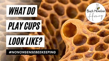 What are Play Cups - What Do Play Cups Look Like - Play Cups Versus Swarm Cells
