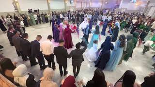 Grup Şile Almanya Mannheim Düğünü Ortam Süper