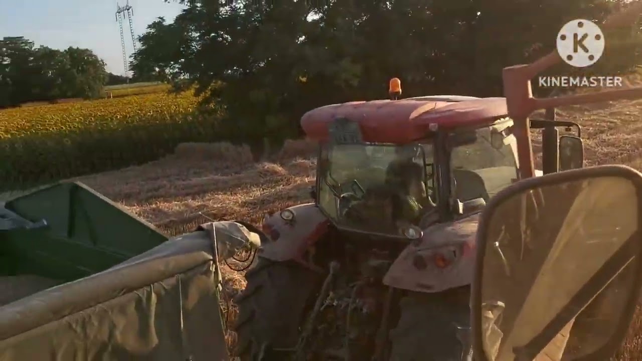 2025 highlights PG Nadj 