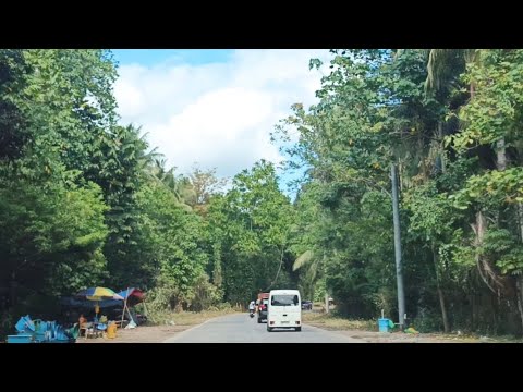 PART II. GOING TO MALAGOS DAVAO CITY | ROADTRIP | ADELFA ARGAL MIX TV