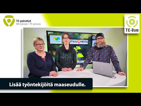 Video: Miten edustat verkkotunnusta ja aluetta?