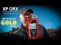 ORX metal detector Gold program secrets