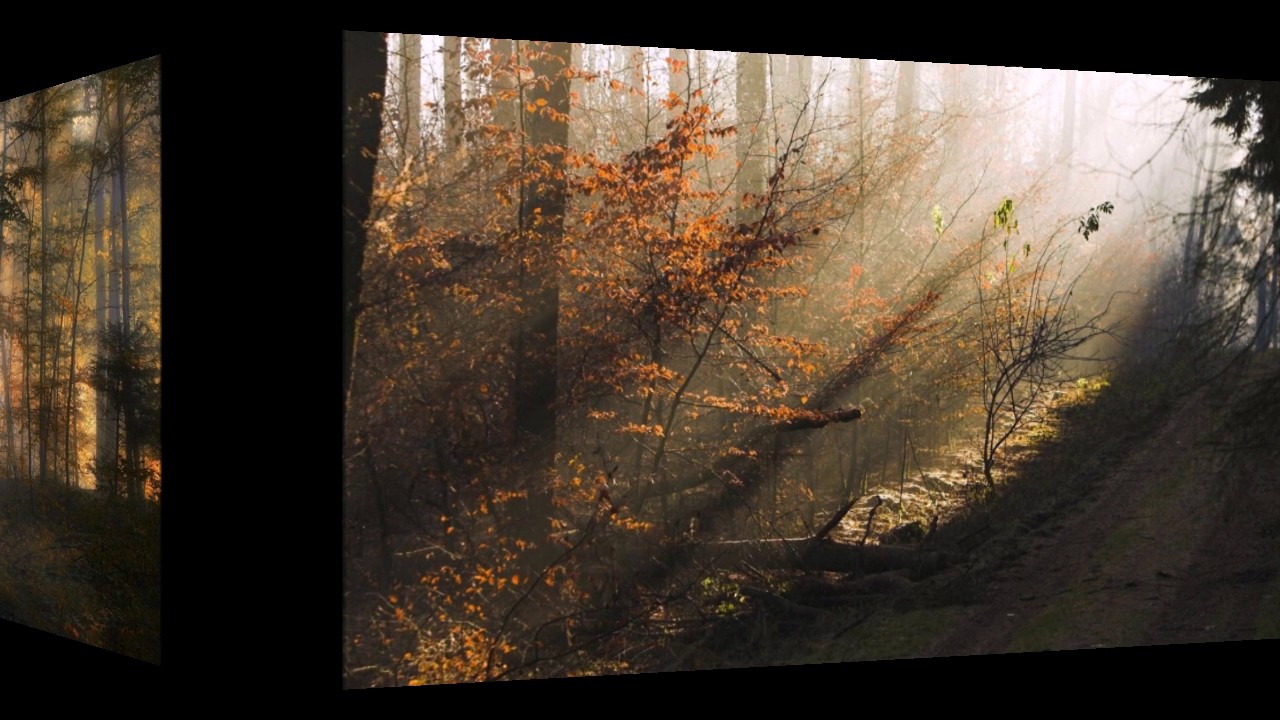 Cosmograf - On Which We Stand