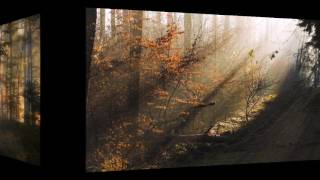 Cosmograf  On Which We Stand