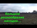 разнообразие находок на лугу, копаем пока трава не поднялась.  Коп с Minelab Equlnox 600