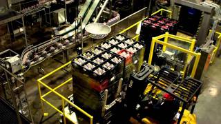 Milos Tea And Walmartin The Beginning