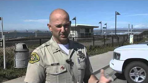Shark Attack News Conference 23 Oct 2012