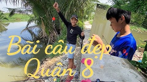 Điểm câu cá quận 8 Phạm Thế Hiển ( gần cầu Bà Tàng)