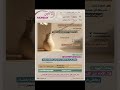 قال رب إنى وهن العظم منى و اشتعل الرأس شيب