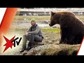 Bären hautnah: Das spektakuläre Hobby des Biologen David Bittner | stern TV