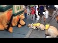 Guide dog in training gets super excited meeting pluto at disneyland